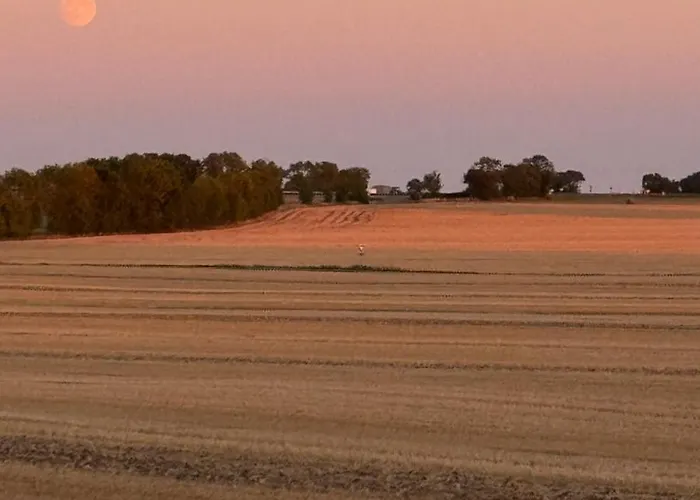 Le Des Compagnons - Superbe Atypique