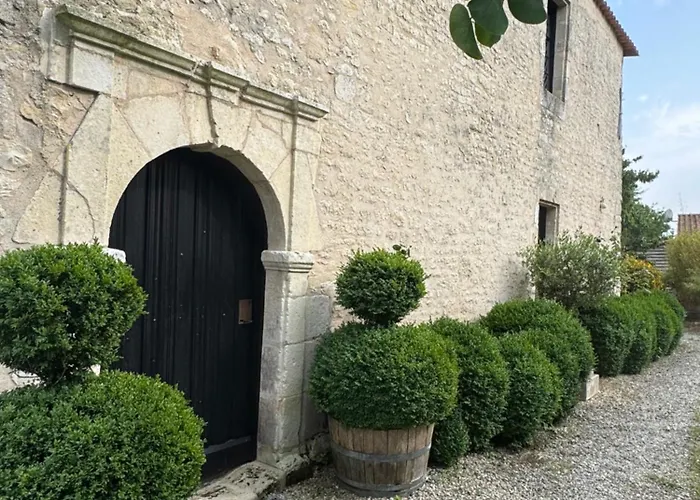 Le Des Compagnons - Superbe Atypique *